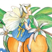 Dětská kolekce Mandarinková víla